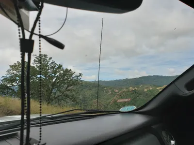 20190520_105459 (Large).jpg